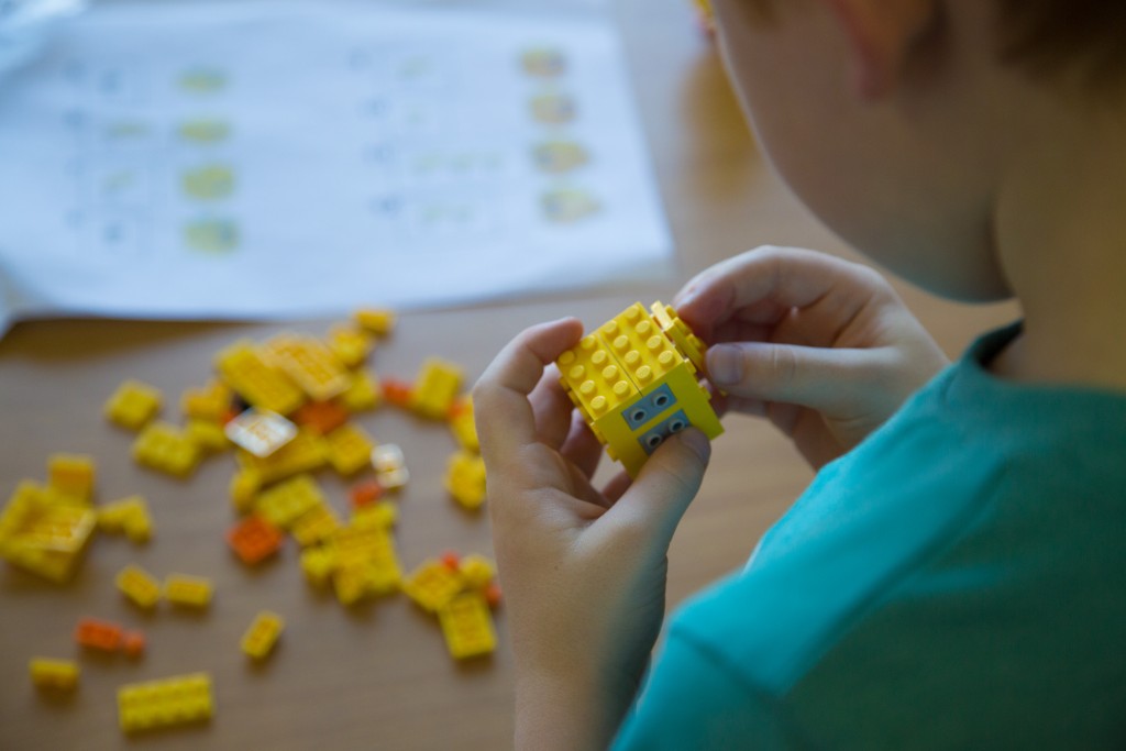 A young boy taking part in the Lego workshop at WWT Slimbridge.