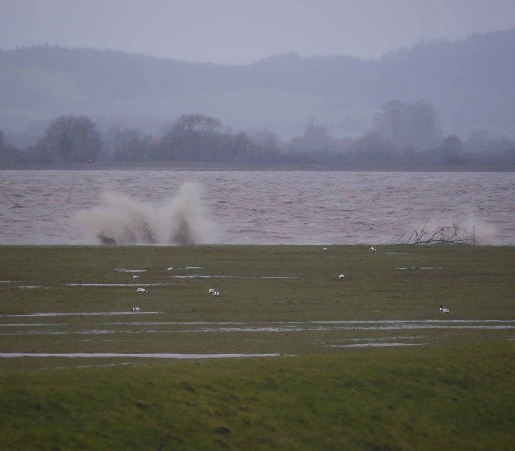 Severn tide, North wind wave damage