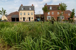 Rain runs off the roofs and parking spaces - into a wildlife-rich wetland