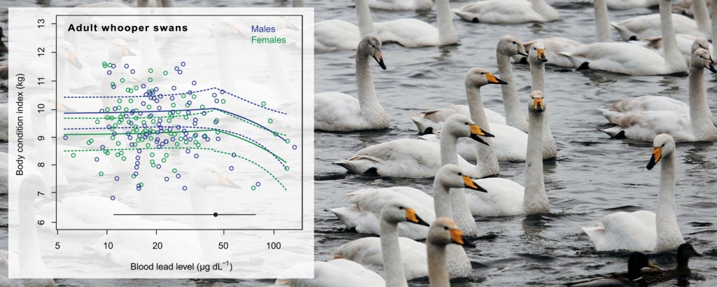 Graphical-abstract-(c)WWT