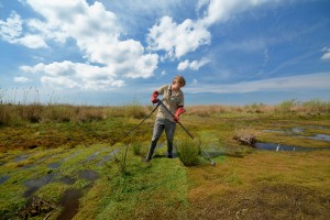 No, we're not vacuuming, we're weeding!