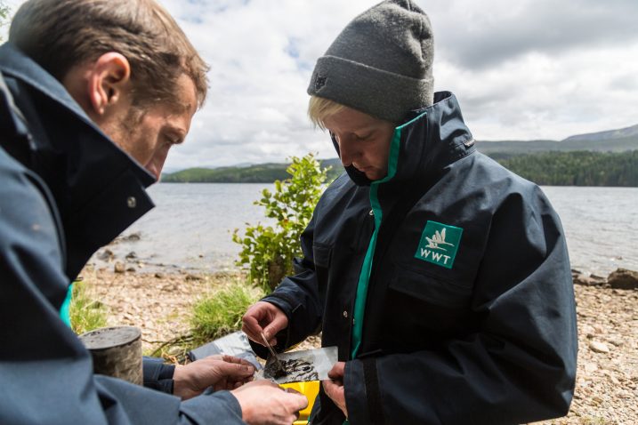 Soil sampling