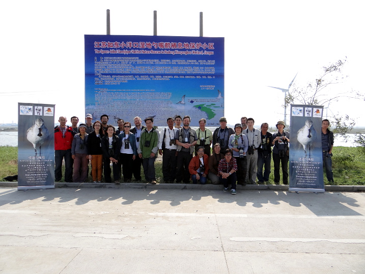 A new spoon-billed sandpiper reserve designated in Rudong, China