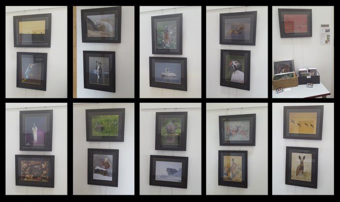Gallery Jul-Aug 2016