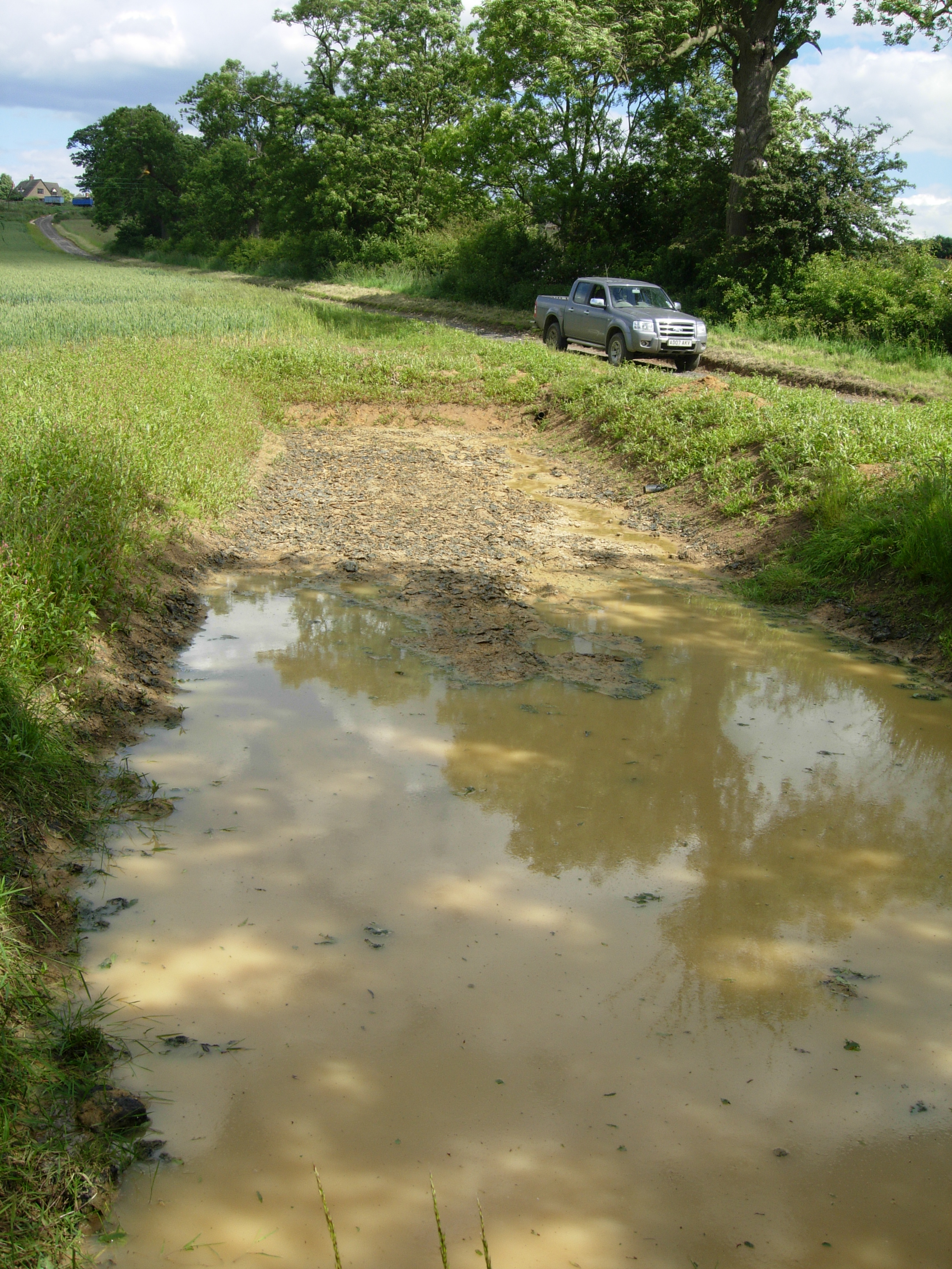 Another sediment trap, this one is developing nicely into a planted area (c) Des Kay