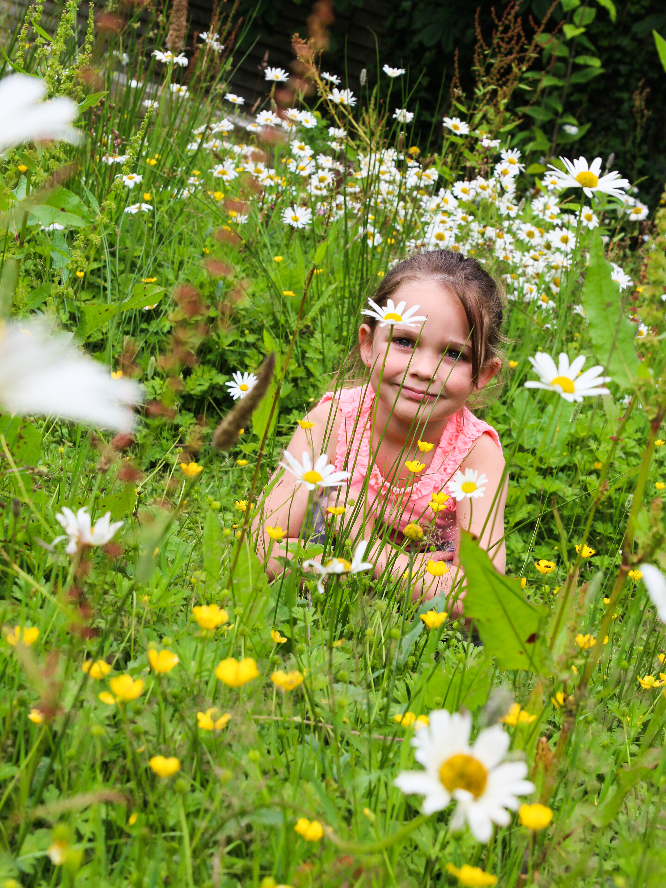 Sensory Garden Daisies