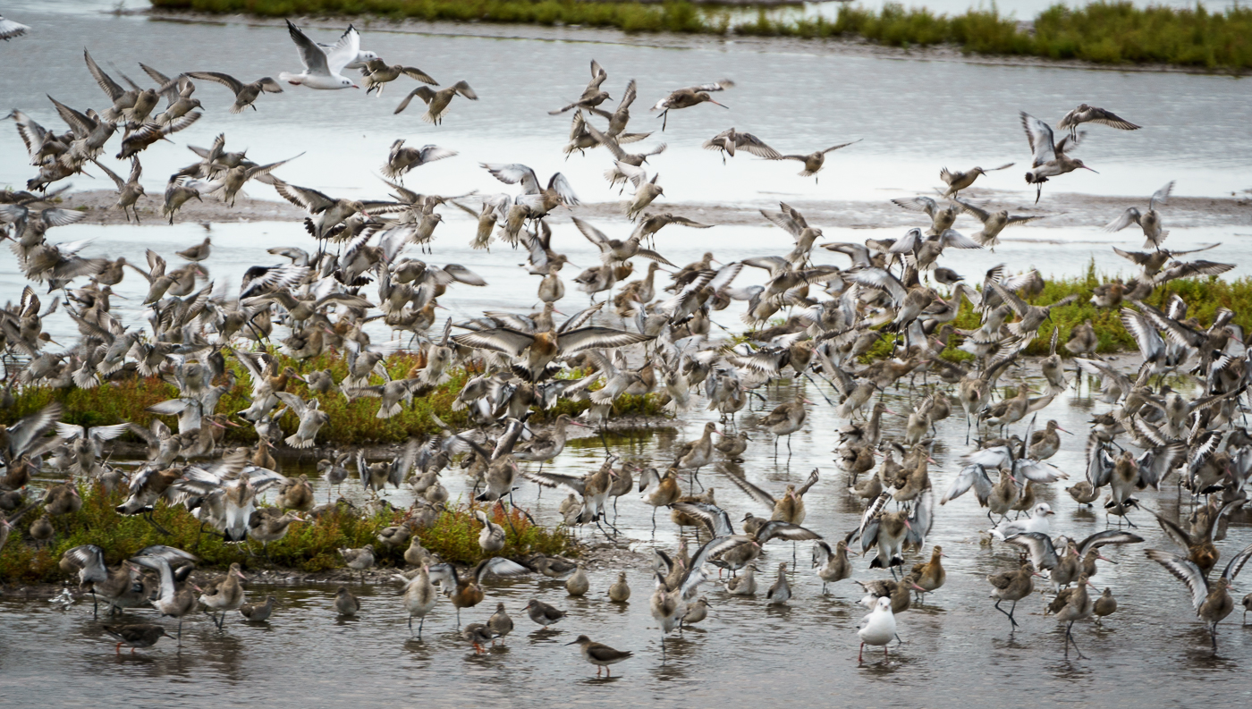 20150905-WWT3