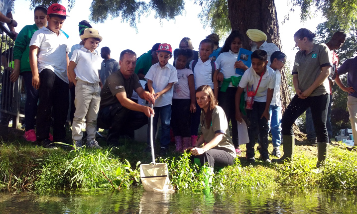 WWT and Environment Agency staff help pupils release fish into the stream