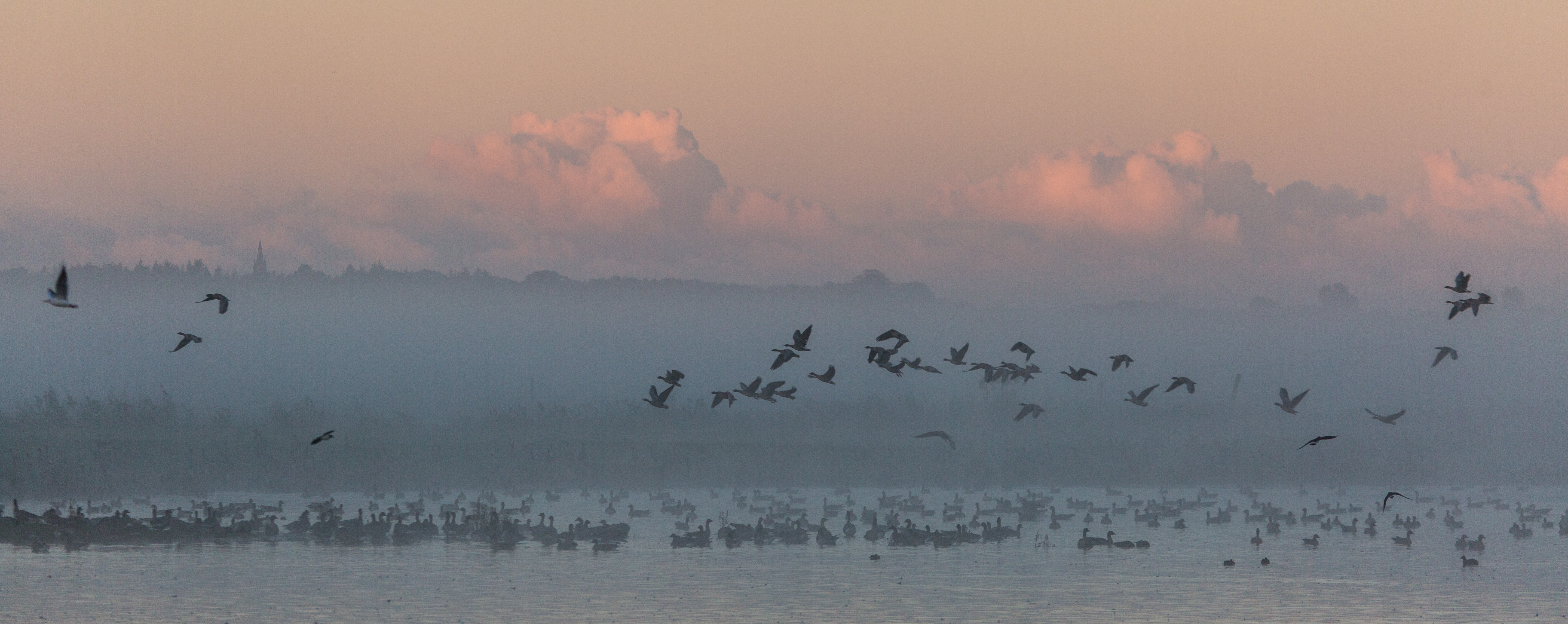 Autumn magic at Martin Mere