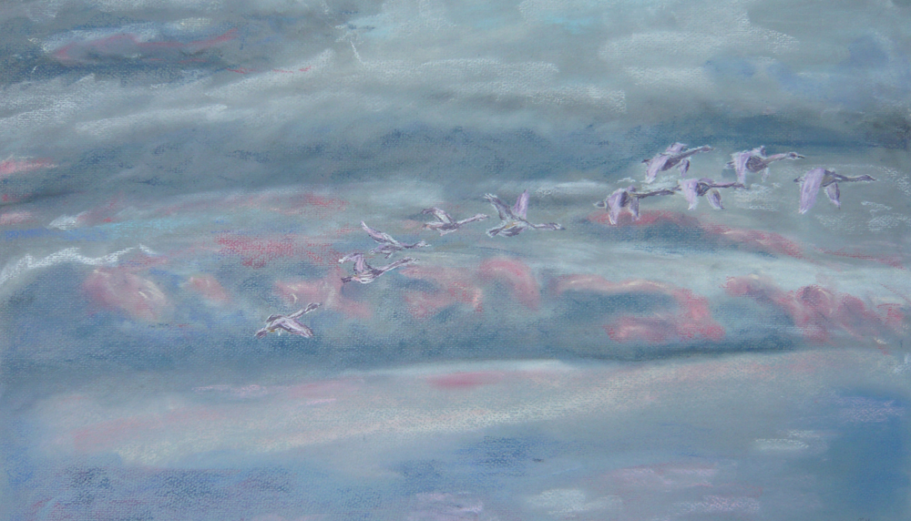 Swans artwork by Gill McCoy