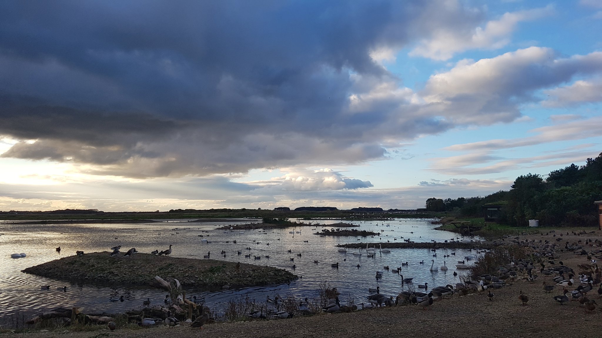 The Mere from in focus