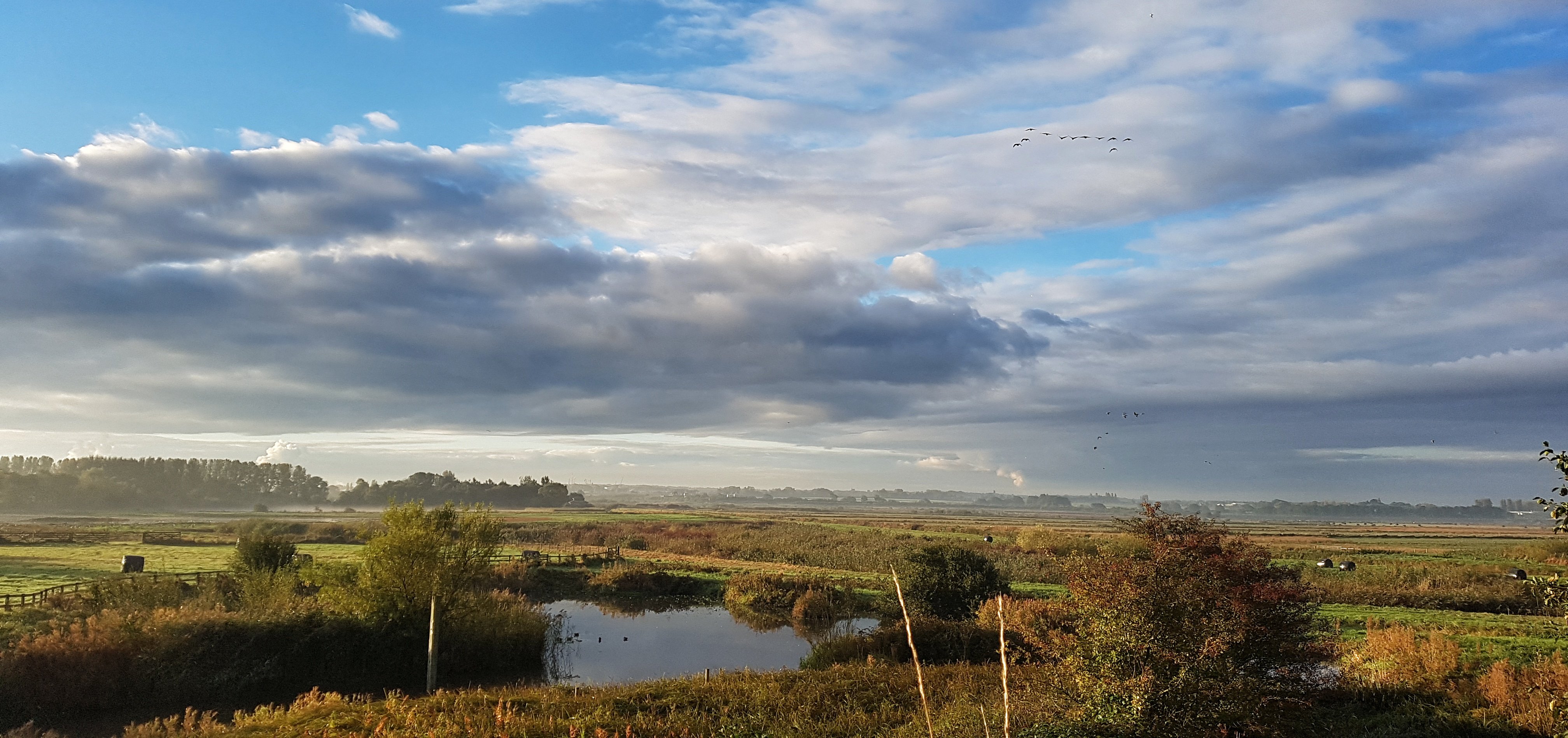 The view from the Kingfisher Hide is excellent but the hide is currently closed due to building work. 