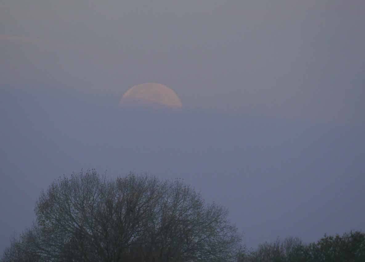 moon