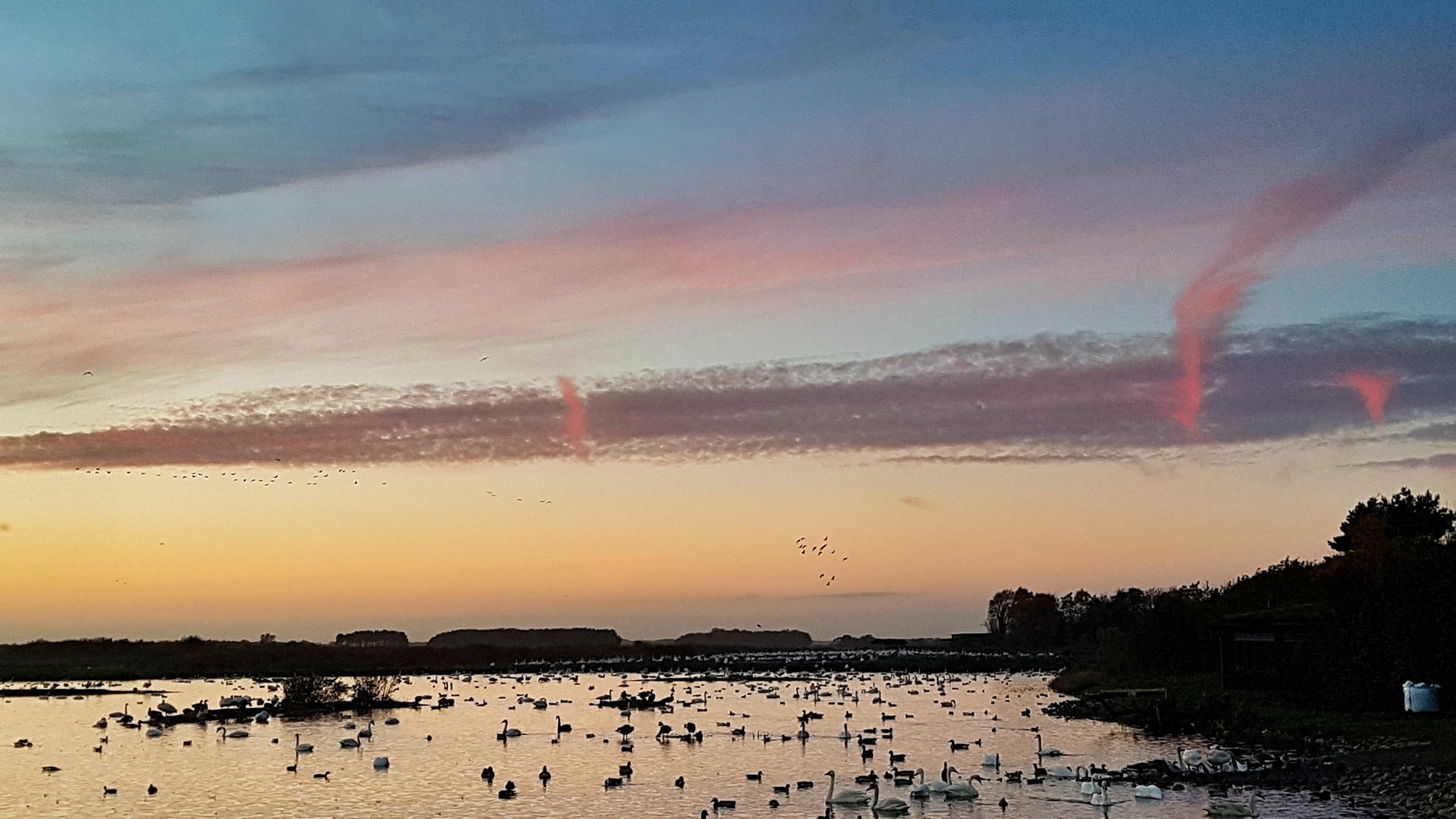 Evening Mere
