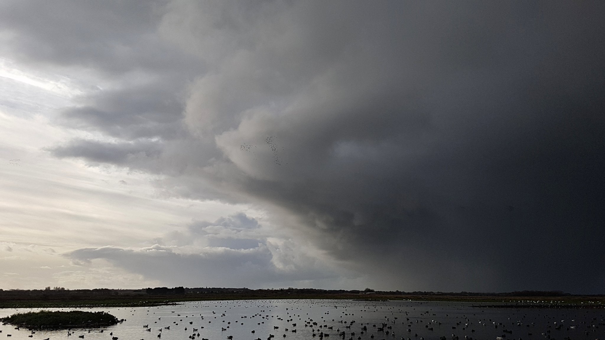 Hail clouds passing by with flocks of Teal flushed by Peregrine