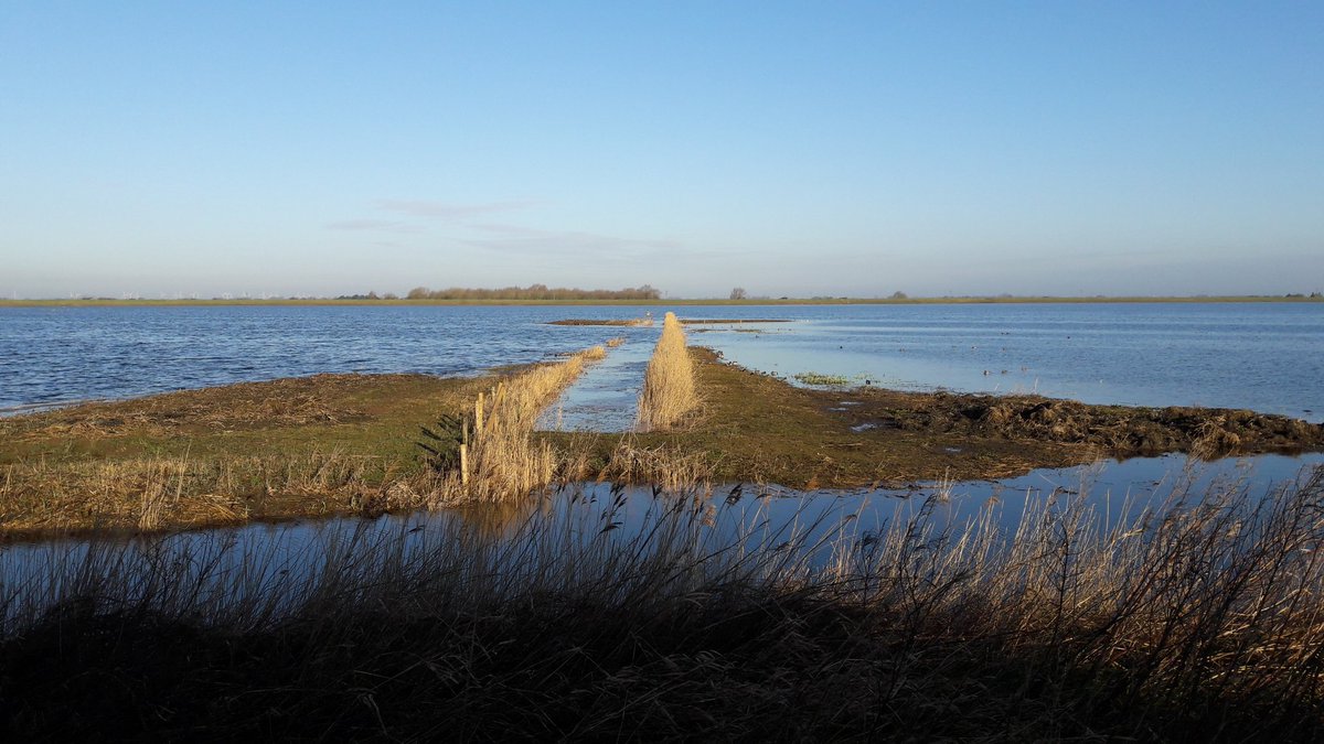 View from Lyle hide