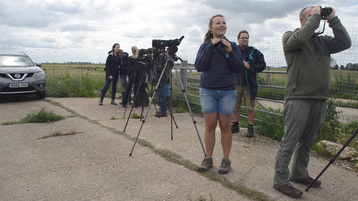 Project godwit team watch the release (c) Bob Ellis WWT