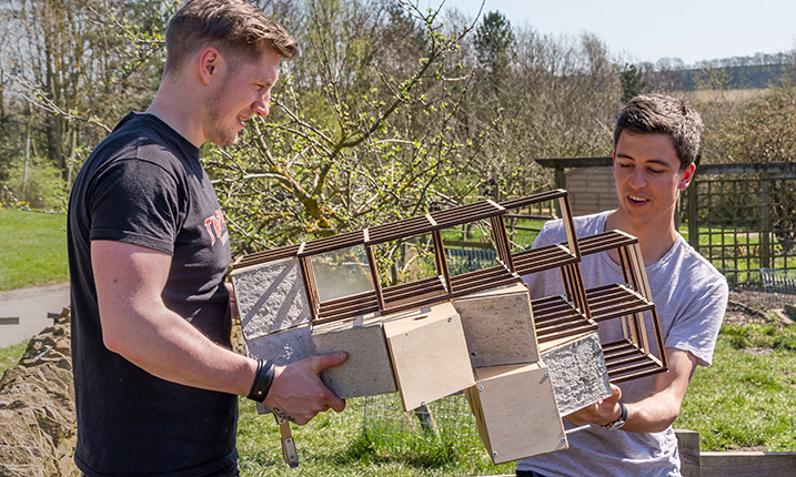 Future architects create homes for wildlife