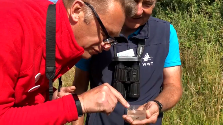 Chris Packham's Caerlaverock visit unearths unusual discovery