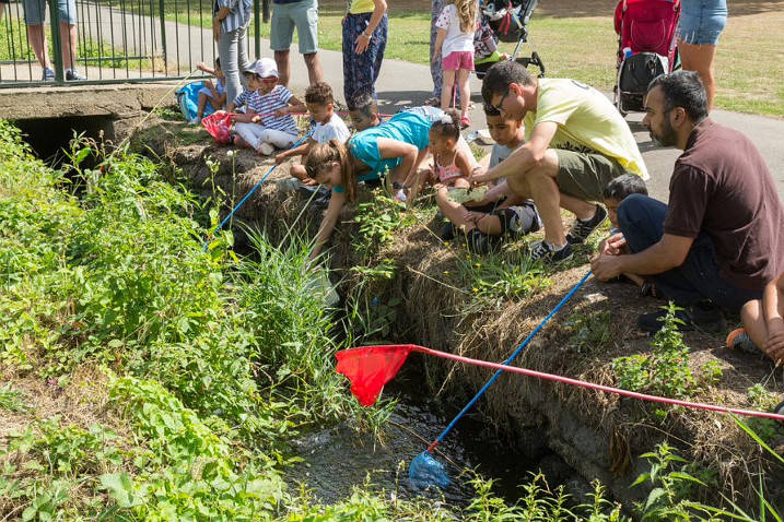 Exotic spider discovered during WWT species survey as part of Salt Hill Playday