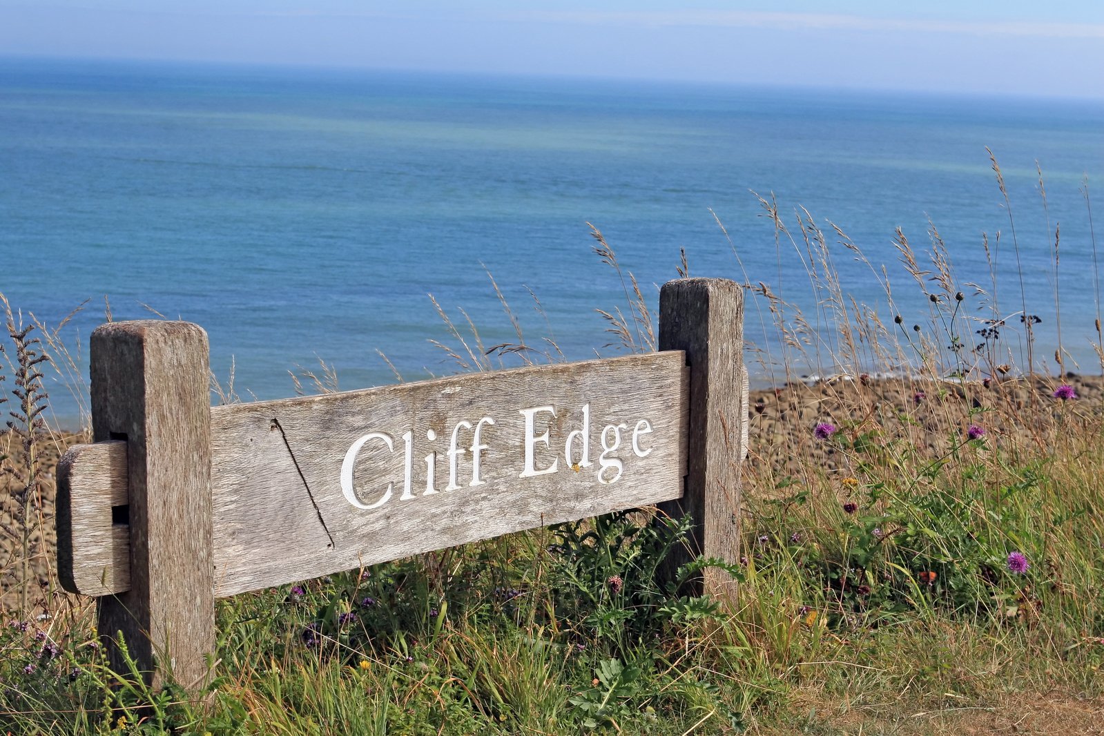 What Brexit means for nature
