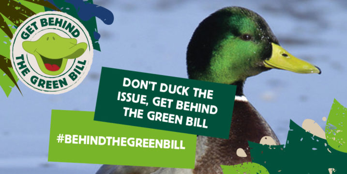 Don't duck the issue - get behind the green bill 