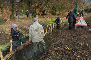 Slough's urban wetlands