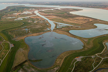 Creating Steart Marshes 