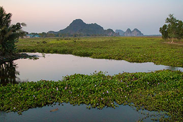 Cambodia's wetland communities