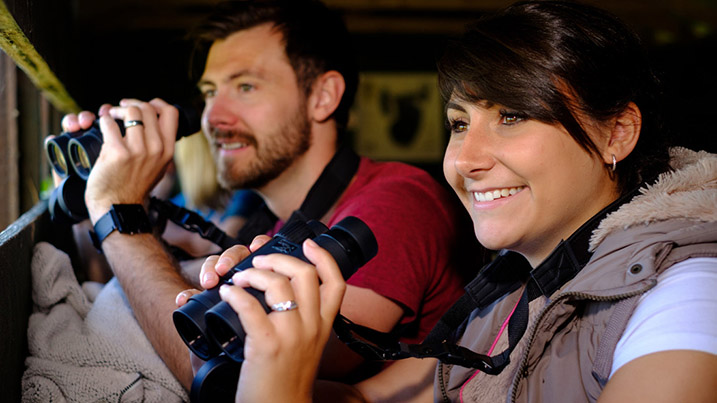 Bird watching with binoculars