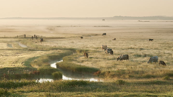 Rural wetlands
