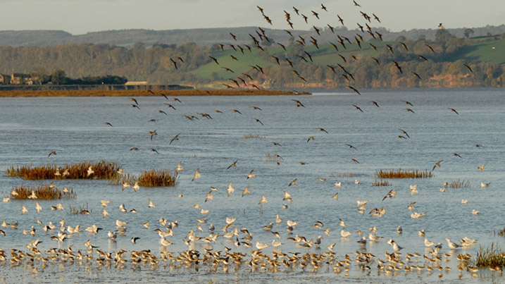 Severn Estuary Walkway