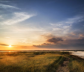 wetlands and wellbeing