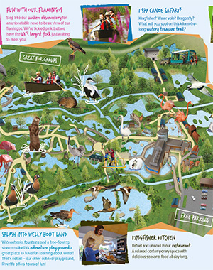 Experience Slimbridge Wetland Centre WWT
