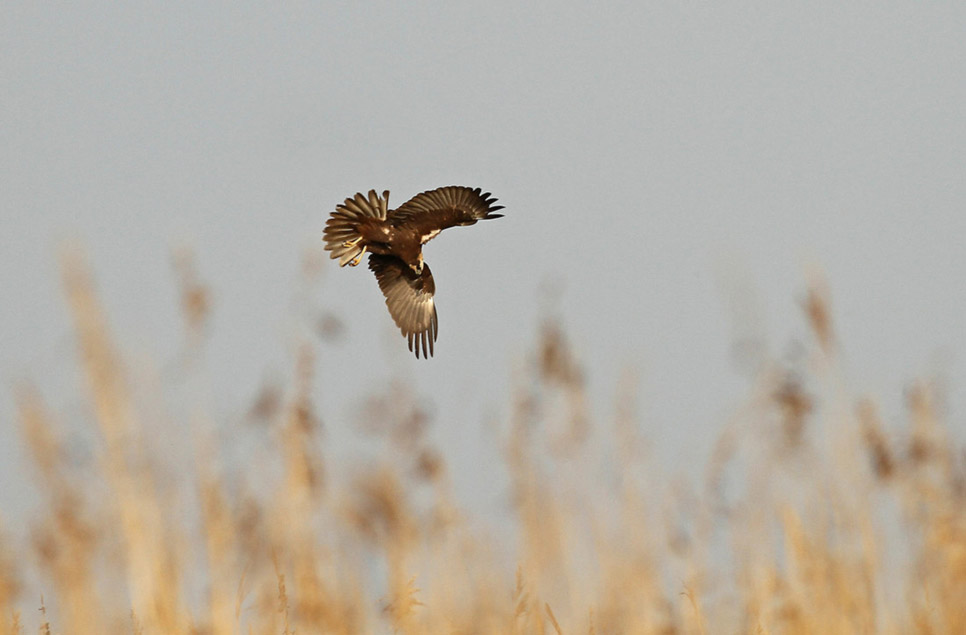 Today's Sightings