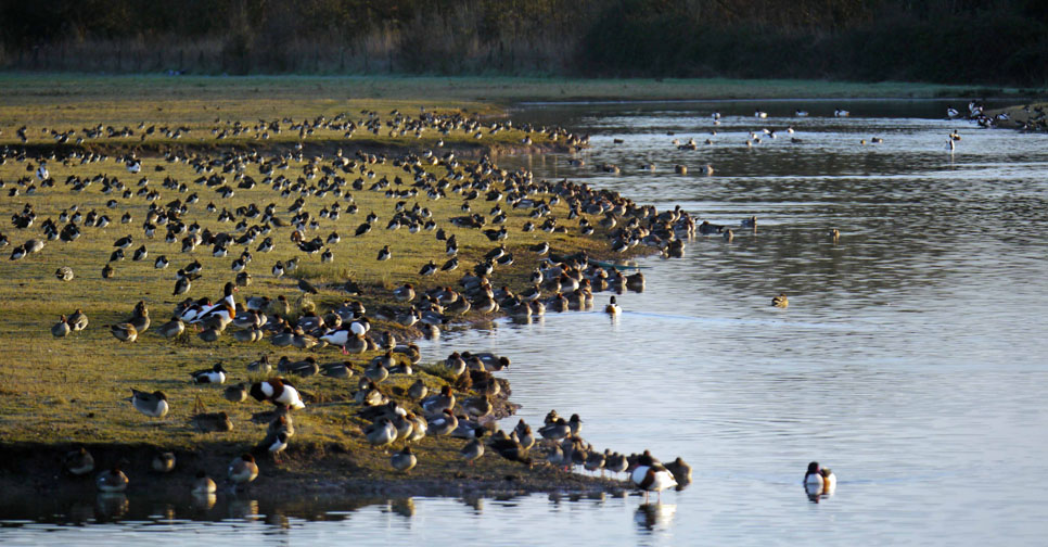 High tides and another freeze up