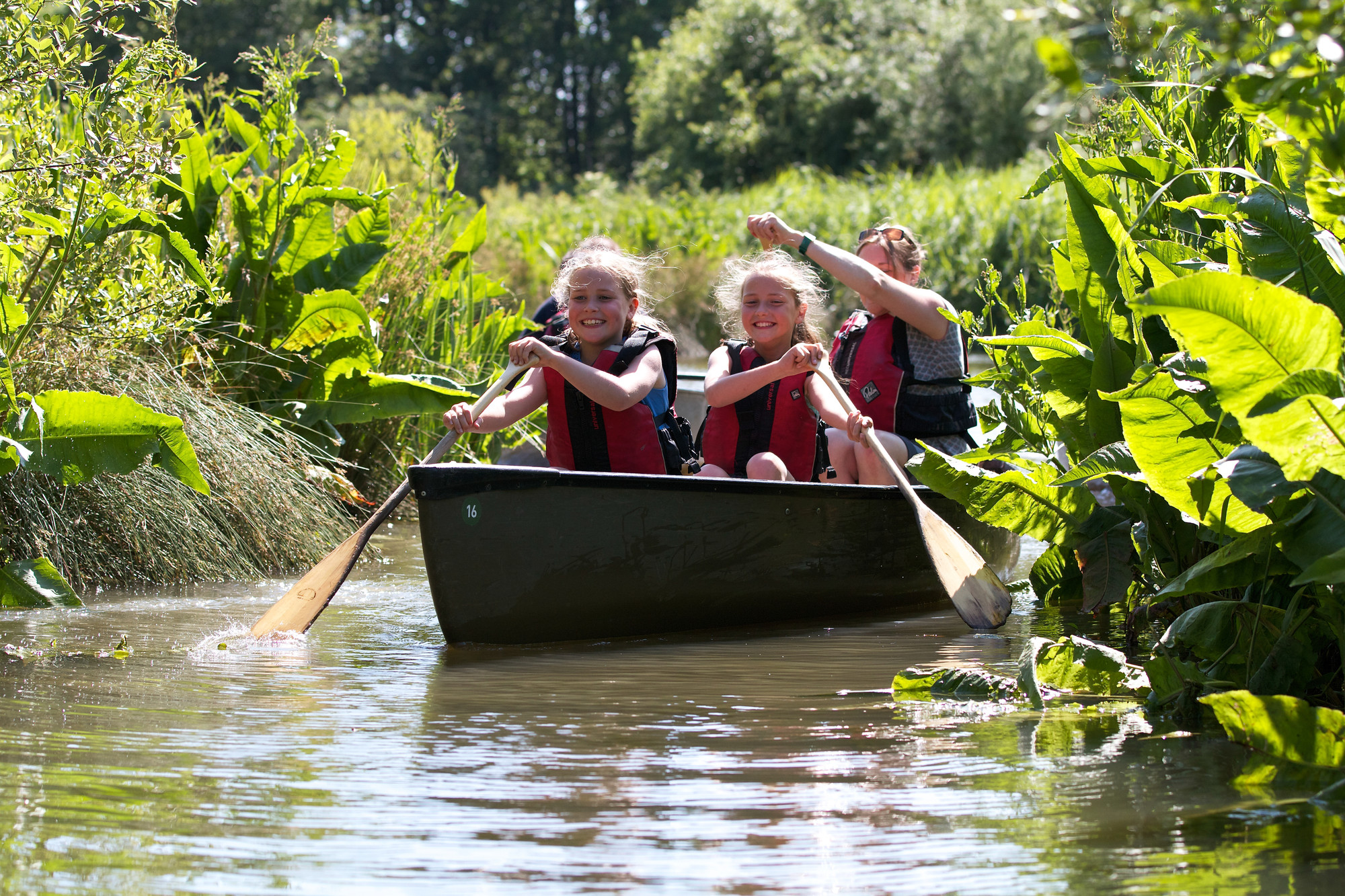 View: Canoe Safari & Bike Hire