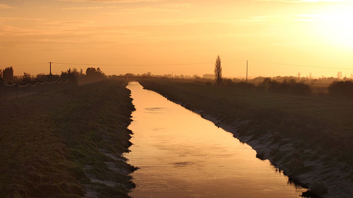 Wetland in the UK 