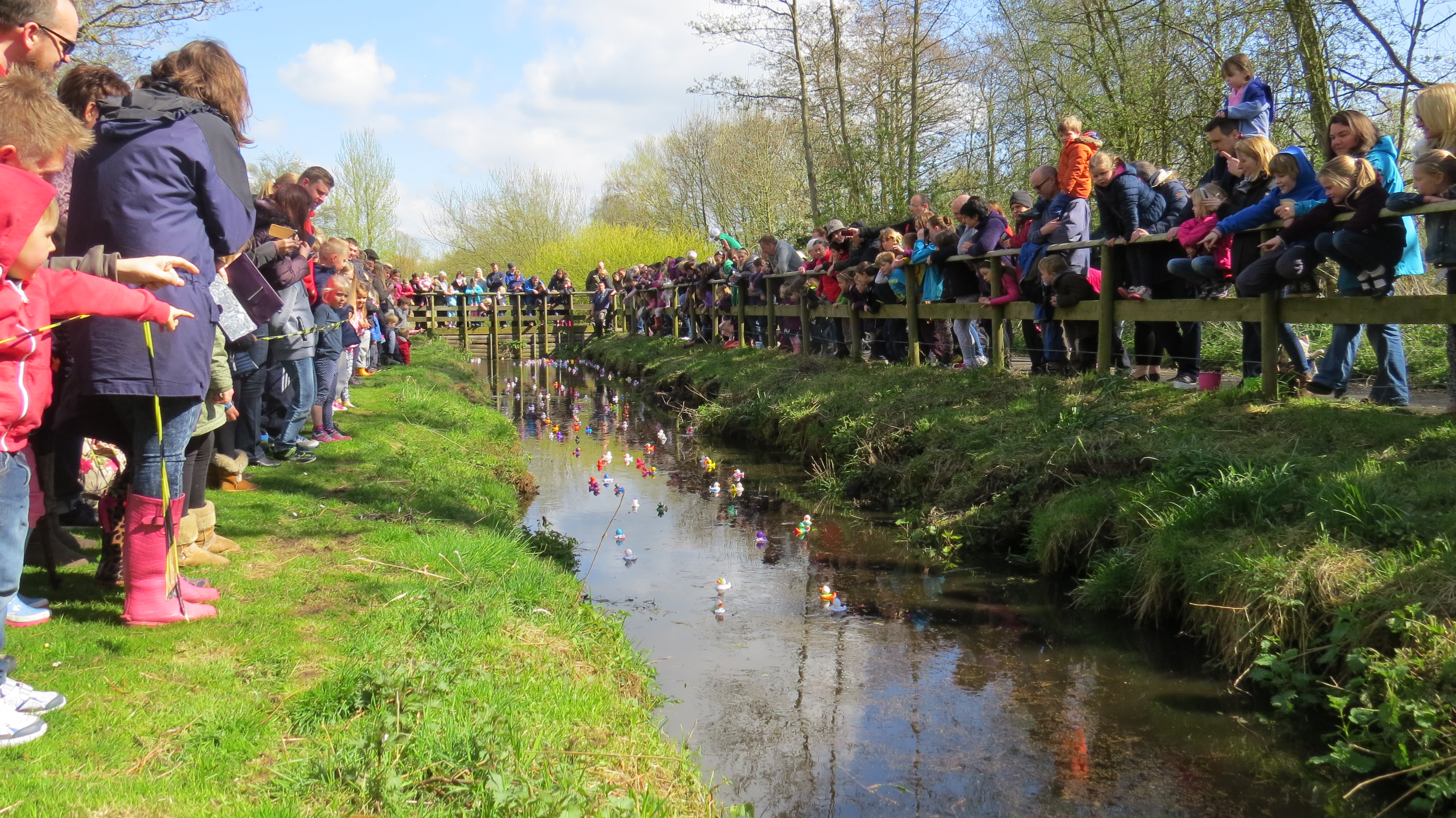 View: Annual Duck Race