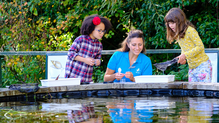 Pond dipping