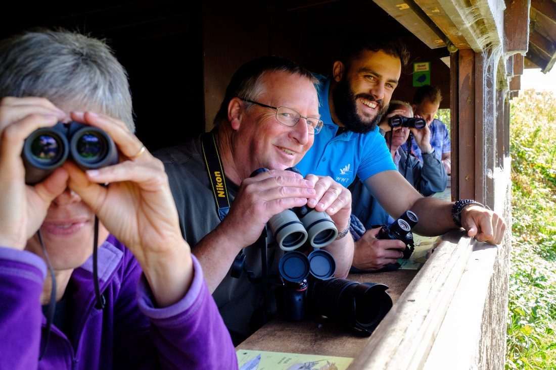 View: Birdwatch Morning