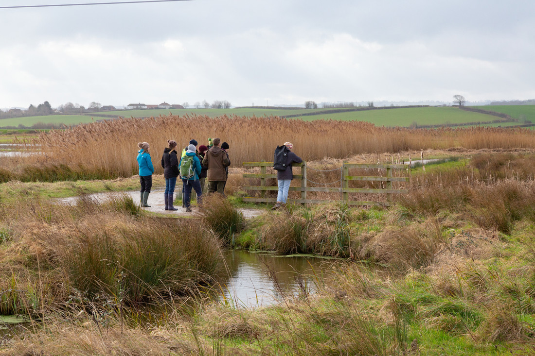 Steart Marshes celebrates 5 years of volunteering!