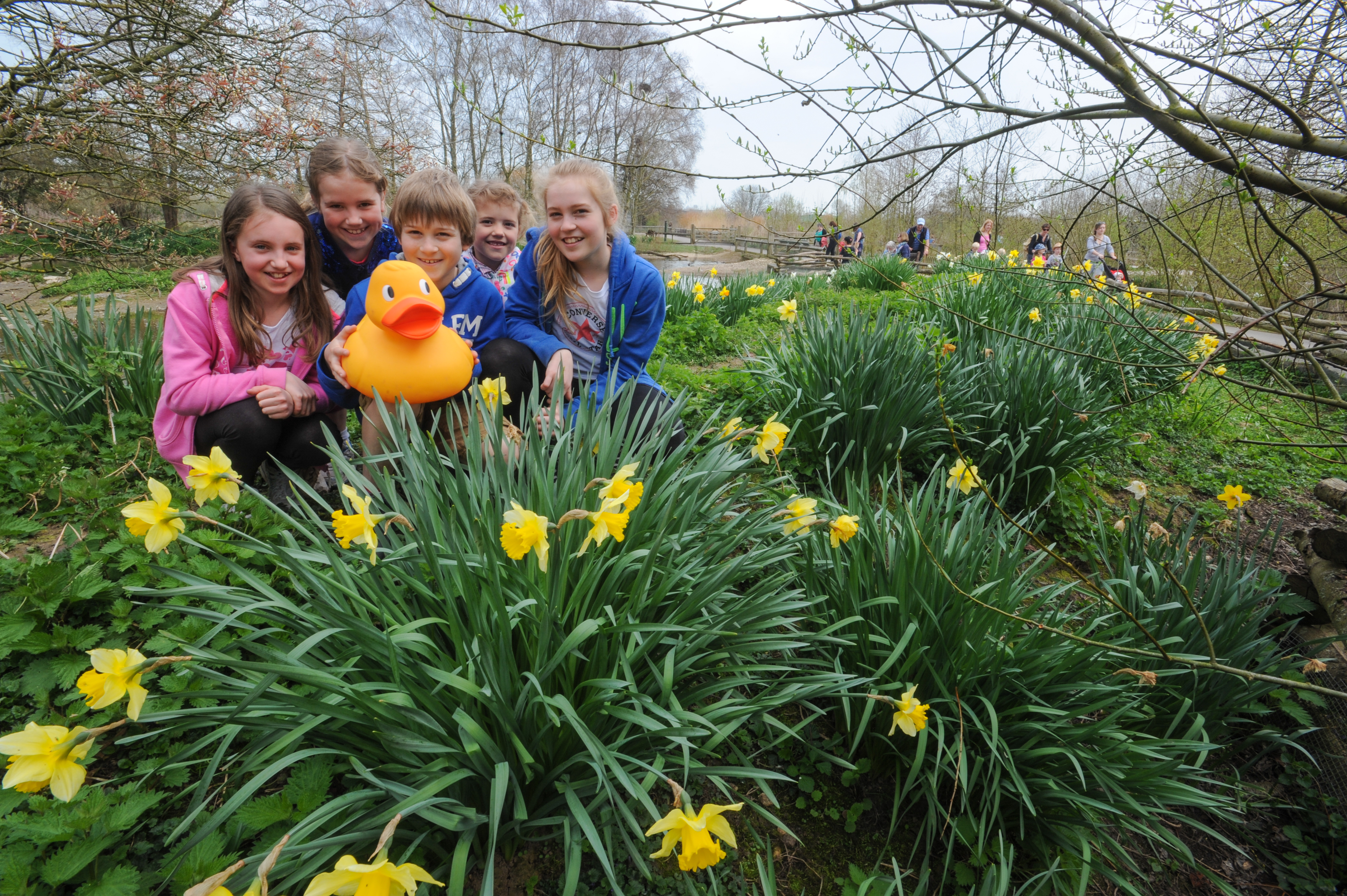 Go quackers this Easter