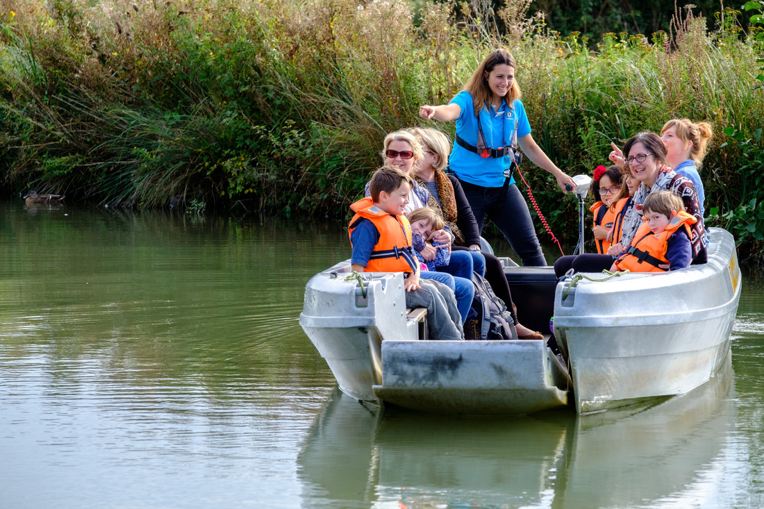 View: Wetland Discovery Boat Safari