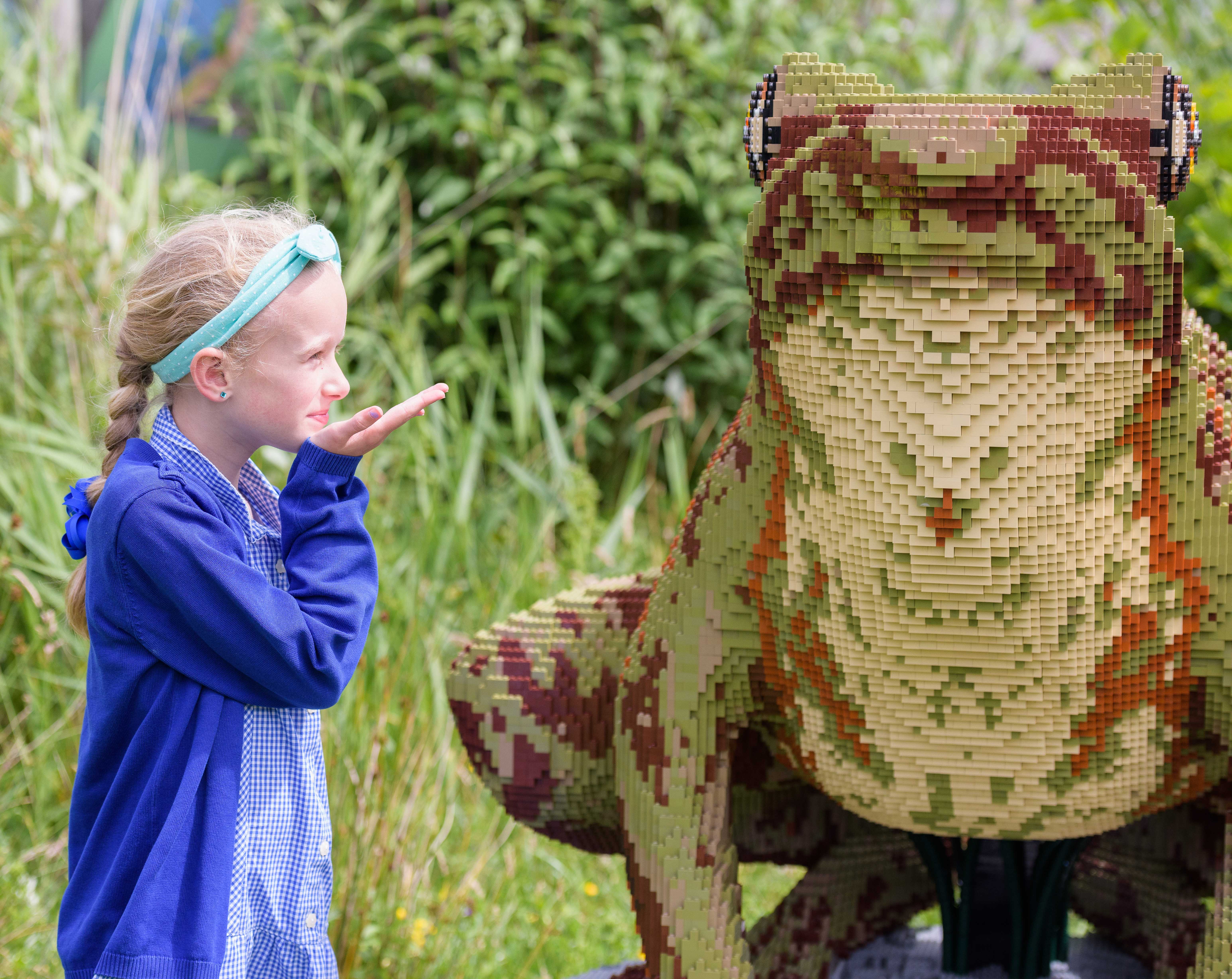 View: LEGO® Brick Animal Trail