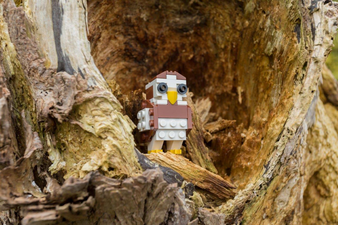LEGO Brick Workshops