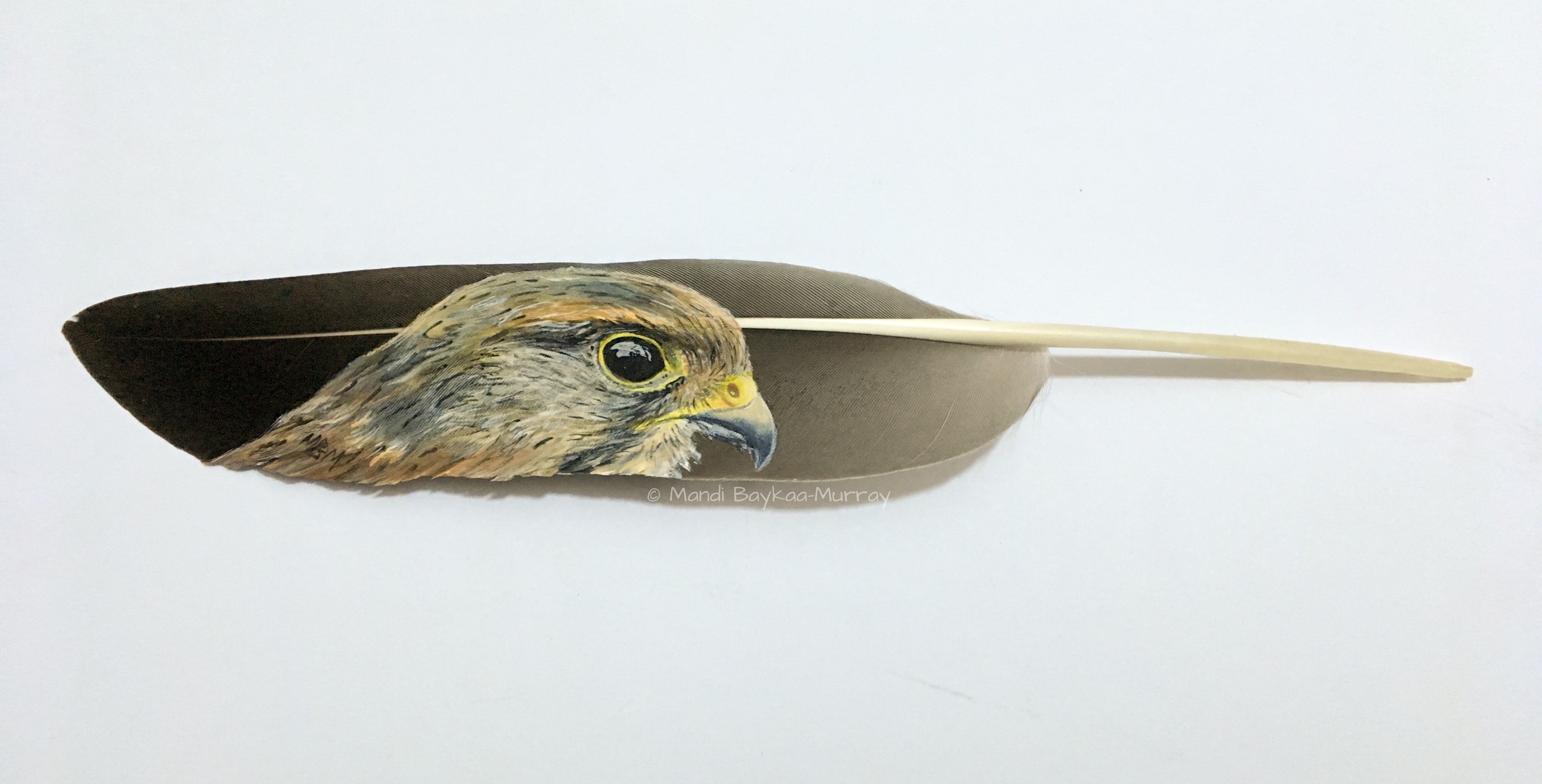 View: WWT Slimbridge Gallery Exhibition