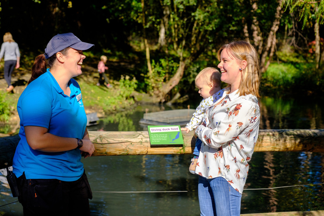 Visitor Engagement Volunteer