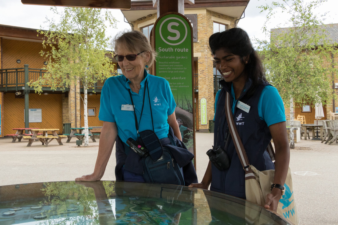 London Wetland Centre Volunteering - Find Out More