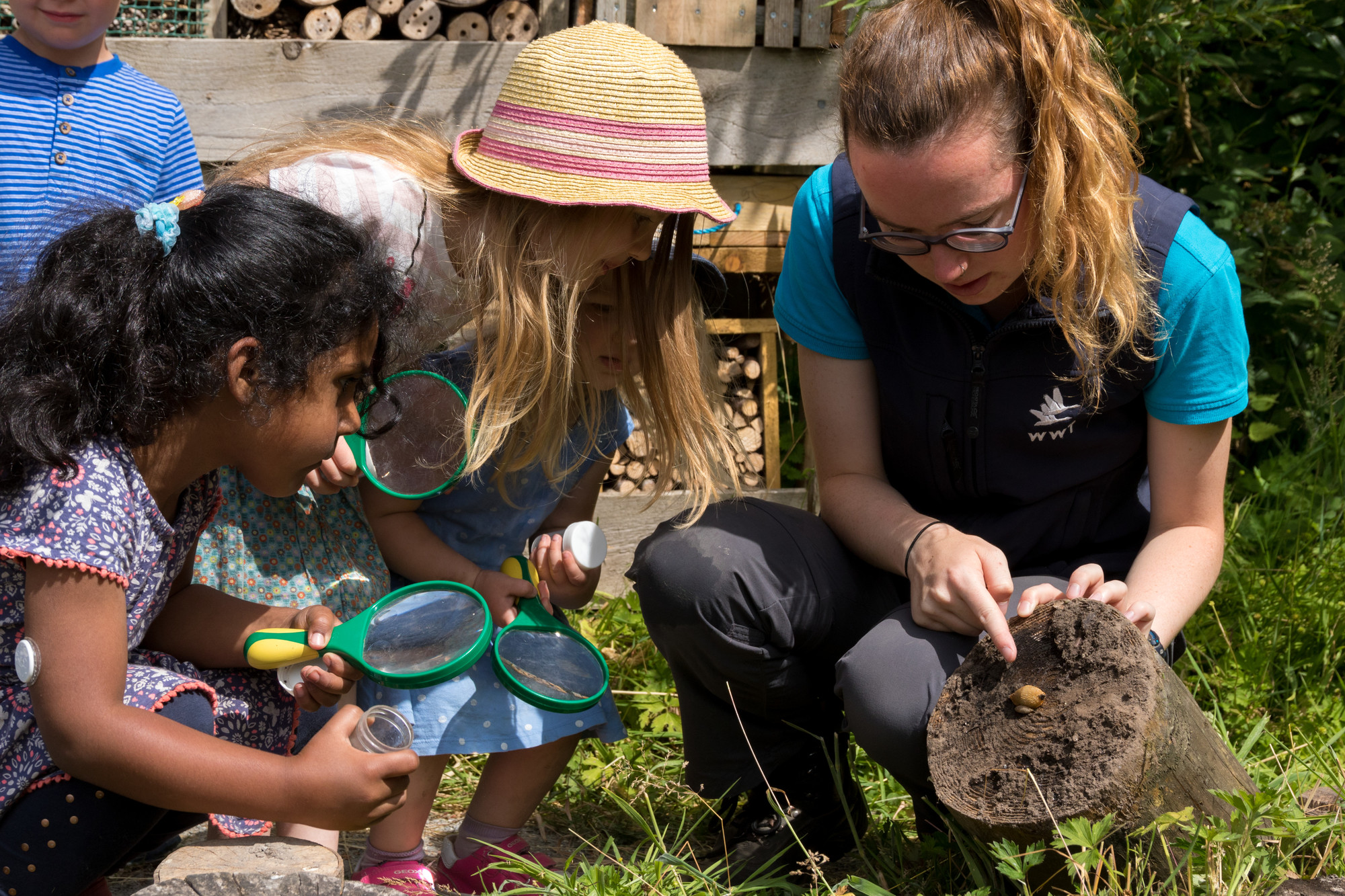 View: May Half Term - Family Activities